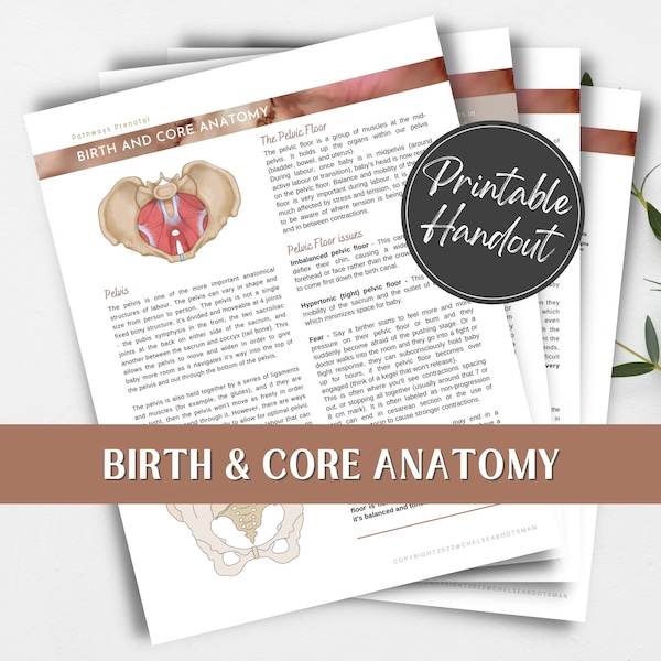 Birth and Core Anatomy body prep printable handout for pregnant women, birth workers/doulas and childbirth educators.