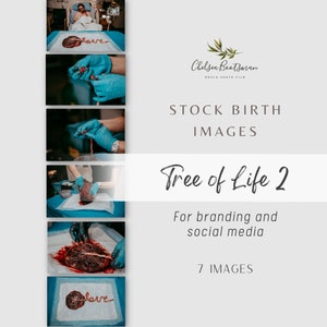 Placenta 2 bundle stock birth photography. Image licenses. Doula tools. Birth worker business. Placenta images. Social media photos.