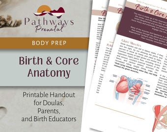 Birth and Core Anatomy, Prenatal handout for parents, Doulas and Childbirth Educators. (Digital Download)
