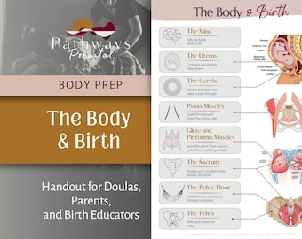 The Body and Birth Handout for Doulas and Parents | Condensed Chart on the Anatomical Structures That Support Natural Birth