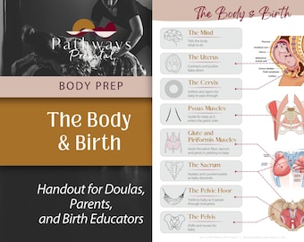 The Body in Birth Handout | Birth Anatomy Education for Doulas