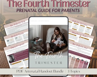 The Fourth Trimester Education Bundle for Parents | Learn About Life With a New Baby