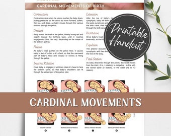 Cardinal Movements of Birth printable handout for pregnant women, birth workers/doulas and childbirth educators.