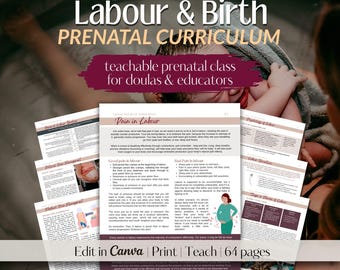 Childbirth Education Curriculum for Doulas | Labor and Delivery Teachable Class | Birth Educator Resource