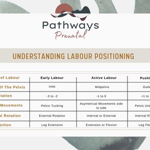 Labour Positions and comfort measures guide. Labor positions for physiological birthing. For mothers, doulas, and midwives. image 4