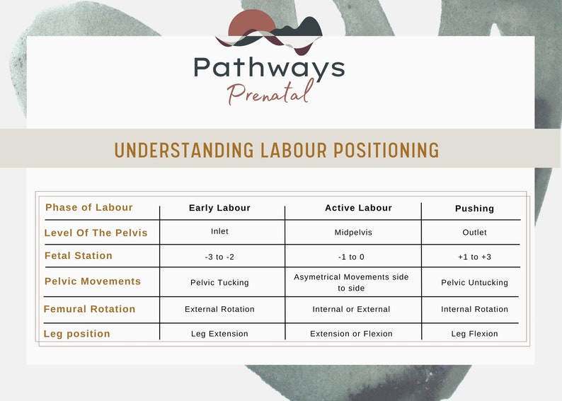 Labour Positions and comfort measures guide. Labor positions for physiological birthing. For mothers, doulas, and midwives. image 4