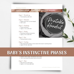 Baby&#39;s Instinctive Phases printable handout for pregnant women, birth workers/doulas and childbirth educators.