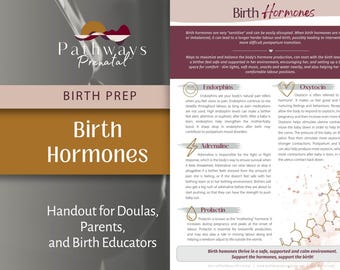 Birth Hormones Handout for Doulas and Parents | Learn About Which Hormones are Present in Labor and What They Do
