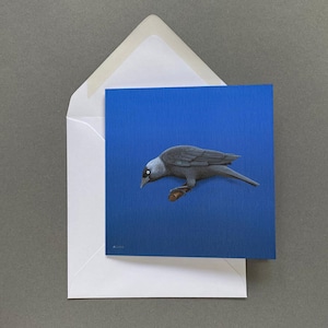Carte de voeux oiseau choucas à l'intérieur vierge