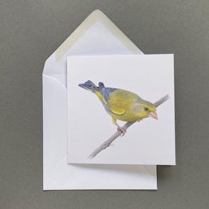 Verdier oiseau carte de voeux vierge à l'intérieur