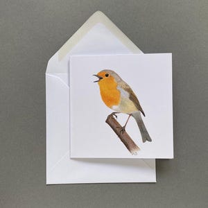 Carte de voeux Robin Bird vierge à l'intérieur