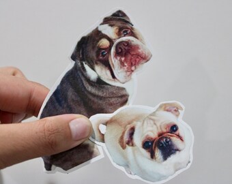 PET STICKERS. Turn your favorite pet photo into a sticker!