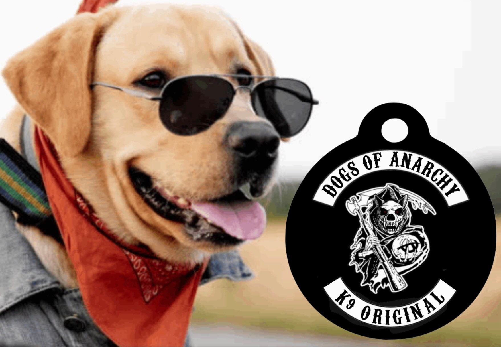 sons of anarchy dog jacket