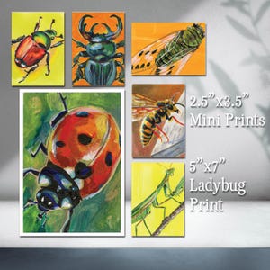 May include: A collection of insect art prints, including a ladybug, beetle, cicada, wasp, and praying mantis. The prints are in various sizes, with the largest being a 5" x 7" ladybug print. The smaller prints are 2.5" x 3.5" mini prints.