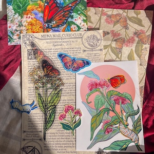 May include: A collection of stationery items featuring monarch butterfly illustrations, including a postcard with a vibrant butterfly, a letter titled Midna Mail Curio Club, and several die-cut stickers of butterflies, caterpillars, and milkweed plants.