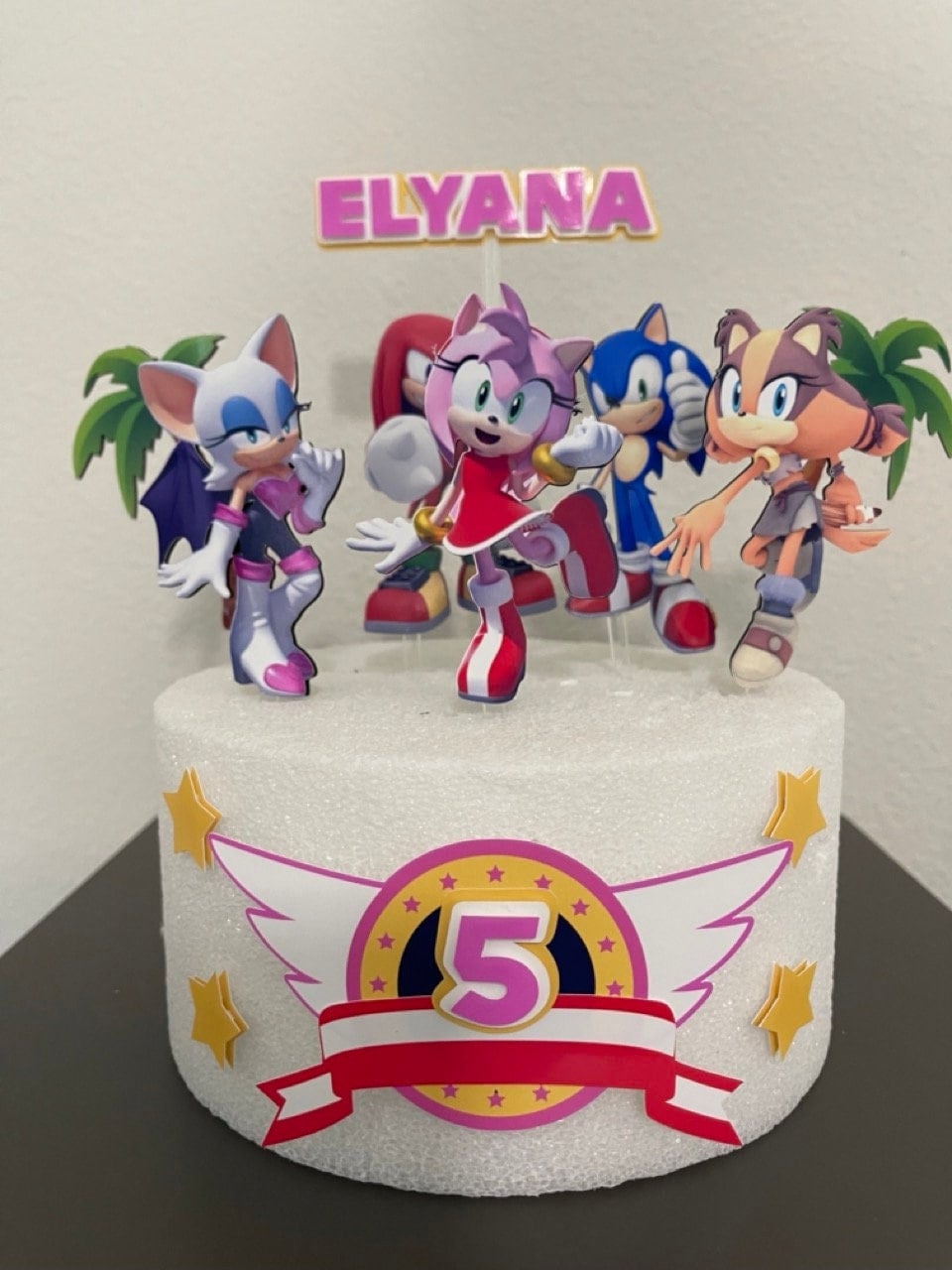 Amy Rose Cutout Birthday Sonic Theme Girl Birthday Party