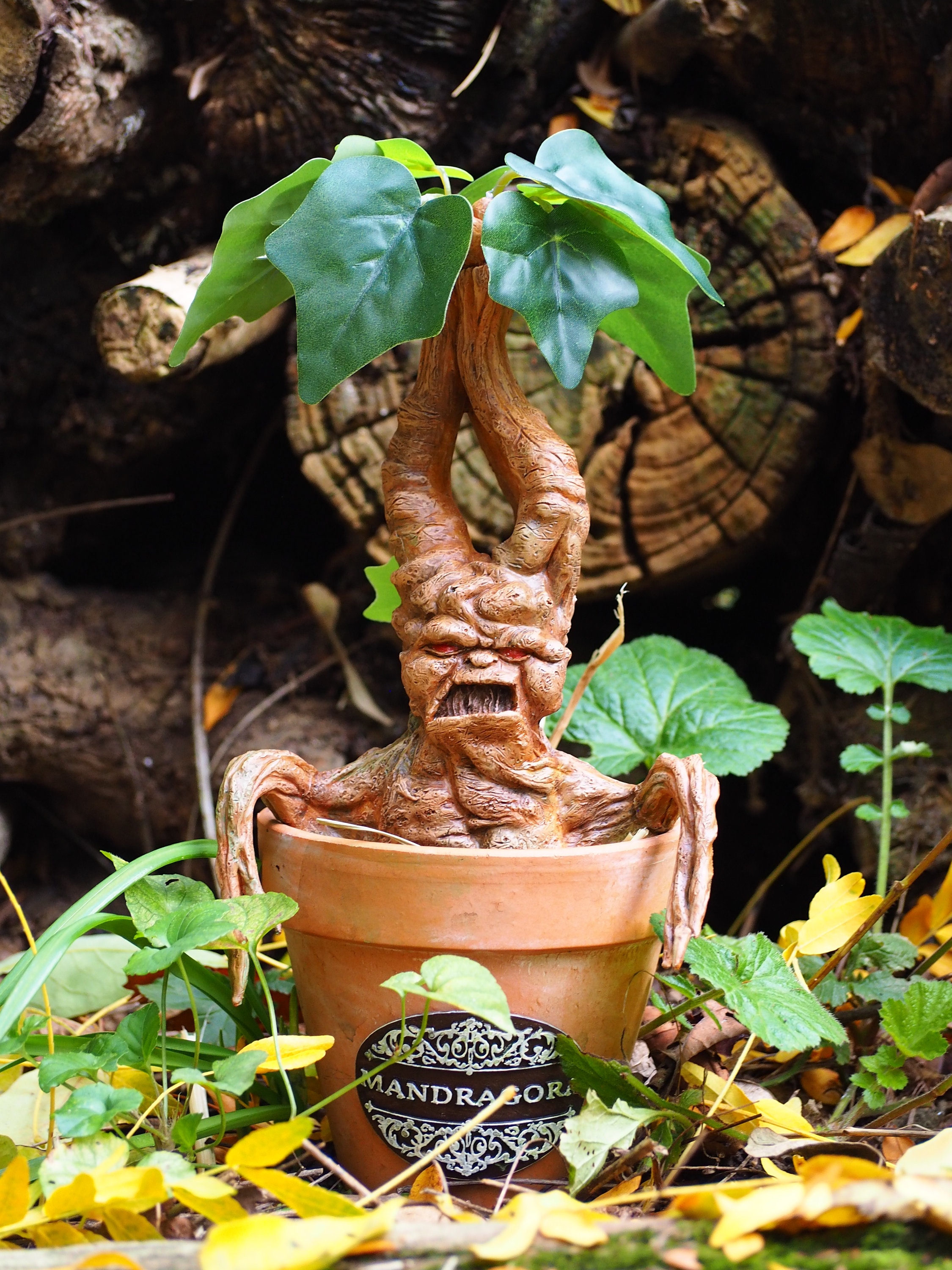 Sculpture Mandragore dans son pot en terre cuite inspiration Harry Potter -  Création par Fantasy Corner