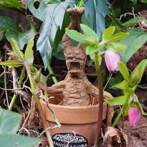 Puede incluir: Una planta marrón de forma humanoide, que se asemeja a una mandrágora, está en maceta en una maceta de terracota con la palabra "Mandrake" escrita en el lateral. La planta está rodeada de follaje verde y flores rosas.