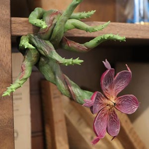 Op de afbeelding: Een gedetailleerde sculptuur van een plant met groene, stekelige stelen en een grote, paarse bloem. De plant lijkt te klimmen of te groeien vanaf een houten plank, met boeken op de achtergrond. De sculptuur heeft een realistische, getextureerde uitstraling.