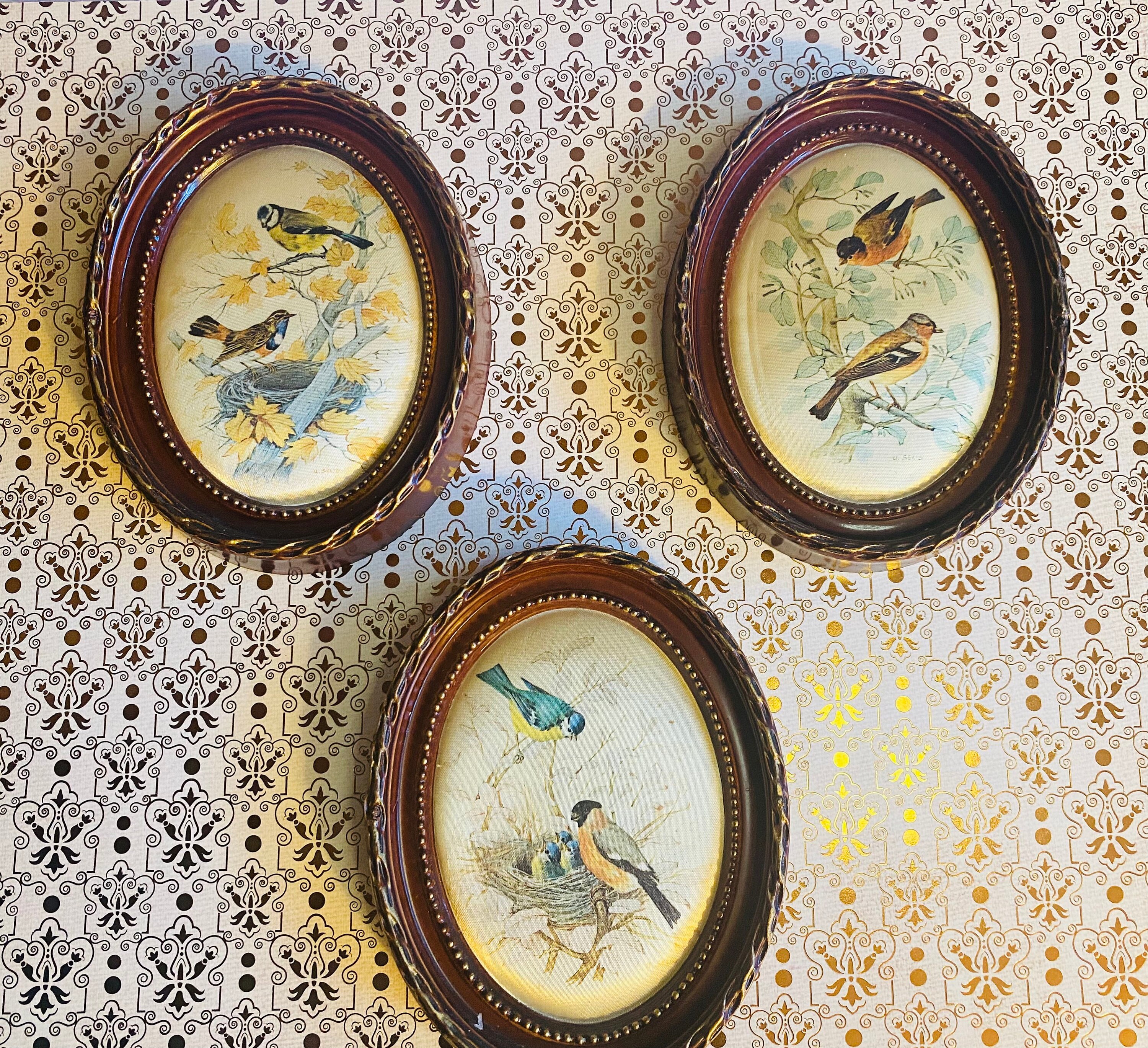 Anciens Cadres Ovales Oiseaux Impression sur Soie