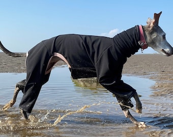 Whippet / Iggy / Lurcher / Greyhound Waterproof Softshell Suit