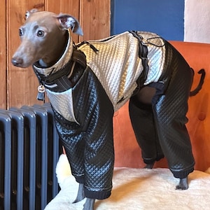 NEW VERSION Whippet / Italian Greyhound &#39;Stardust&#39; Water Resistant Lightweight Suit
