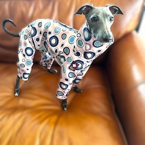 May include: A grey Italian Greyhound dog wearing a pink and blue patterned dog jumpsuit with white circles and pink and blue ovals.