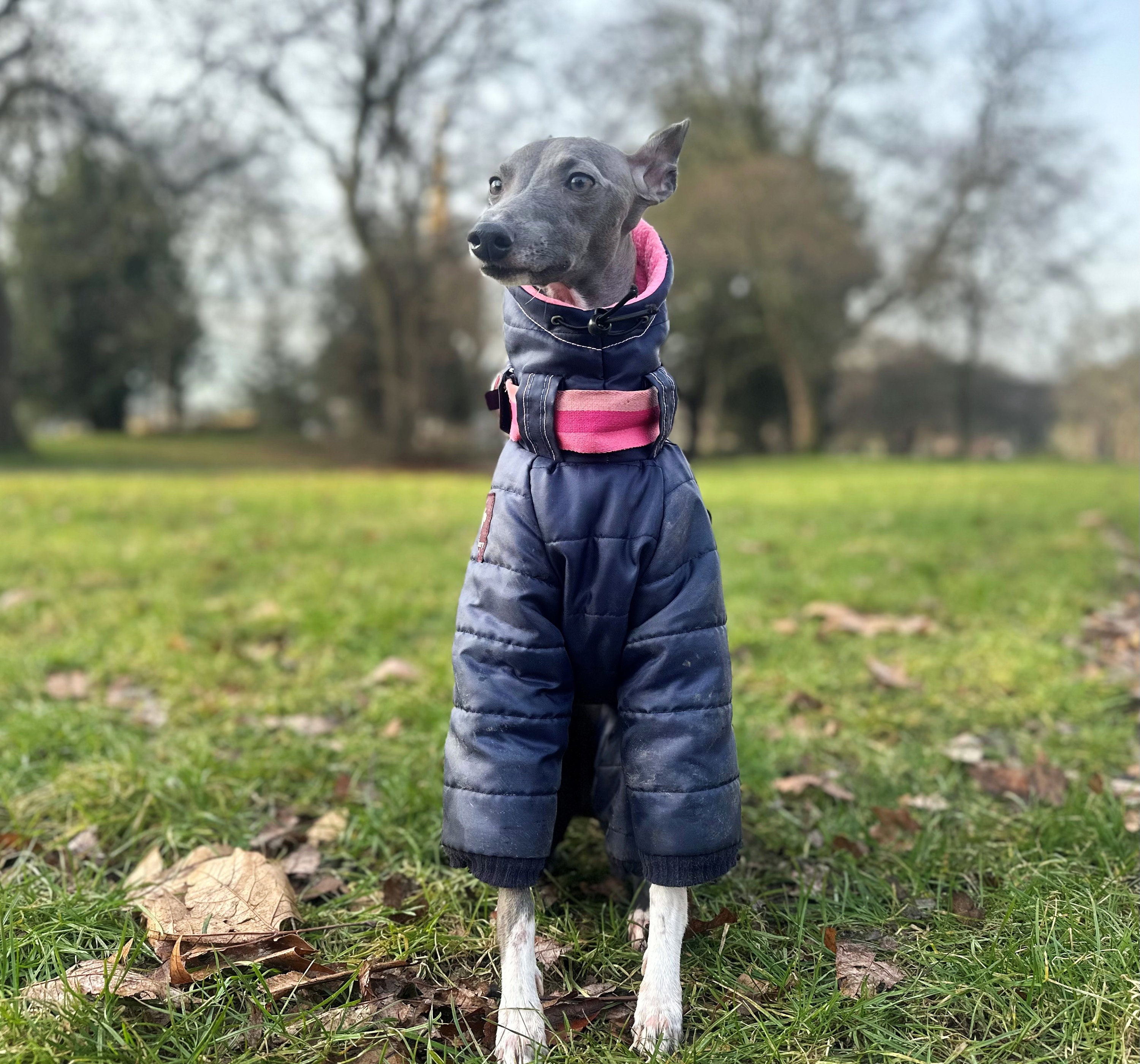 Fleece dog coats with legs 2025
