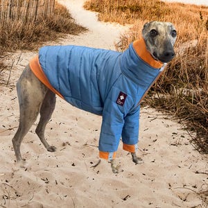 May include: A dog wearing a blue quilted jacket with orange trim, standing on a sandy beach. The jacket has a high collar and covers the dog's legs. A small patch with a logo is visible on the jacket.