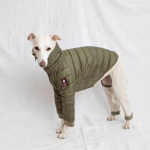 May include: A white dog wearing a green quilted jacket with a brown patch that says "The Country Hound". The dog is also wearing beige pants.