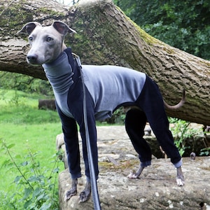 Italienisches Windspiel / Whippet / Lurcher / Windhund Jogger / Pyjama / Strampelanzug