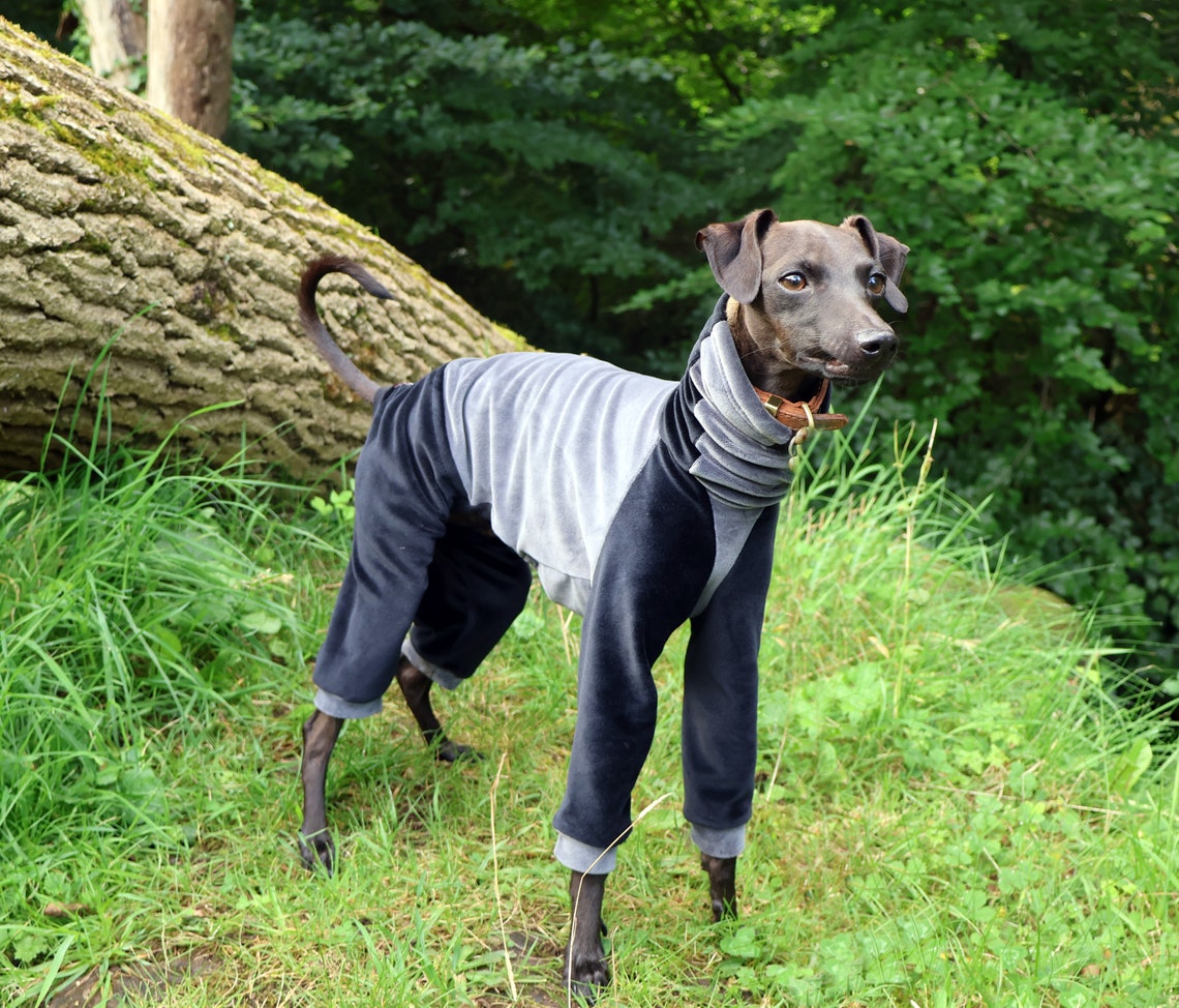 Italian Greyhound / Whippet / Lurcher / Greyhound Joggers / Pyjamas ...