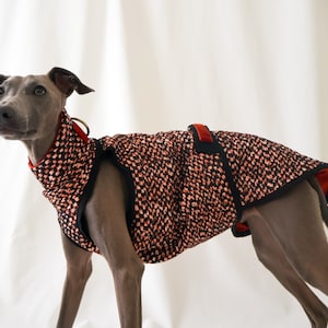 LAVA Whippet / Italian Greyhound Water-Resistant Sleeveless Gilet
