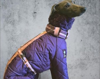 Tuta di lusso imbottita e impermeabile per levriero italiano/whippet con fodera in pelliccia - Uva e rosa antico