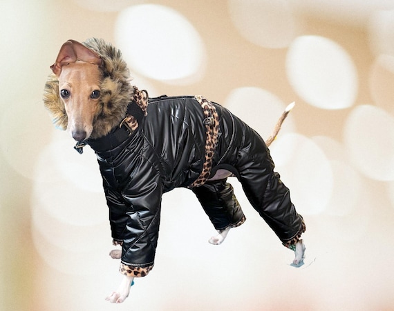 Whippet Italian Greyhound Lurcher Water-resistant Puffa Suit