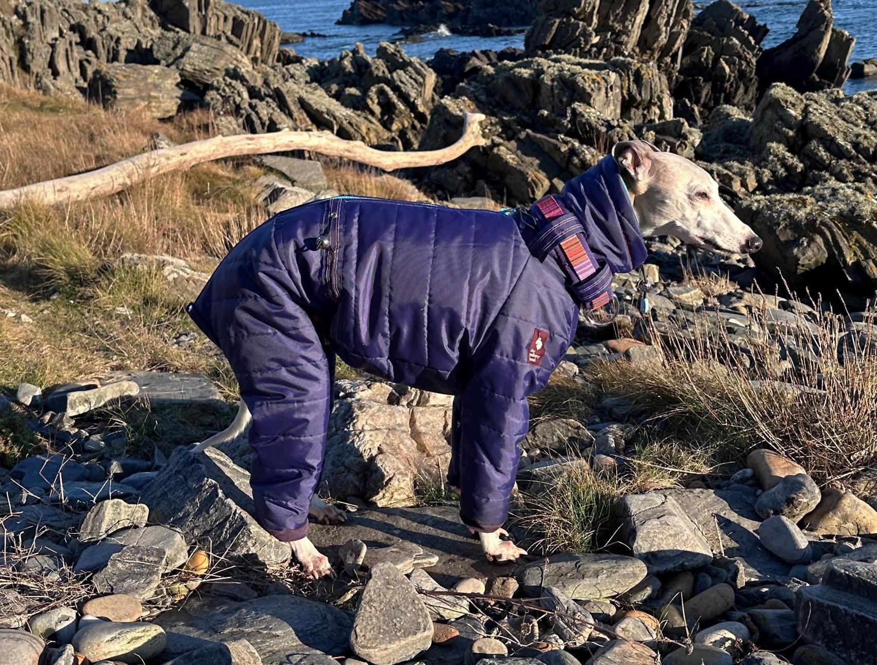 Dog Snowsuit With Boots