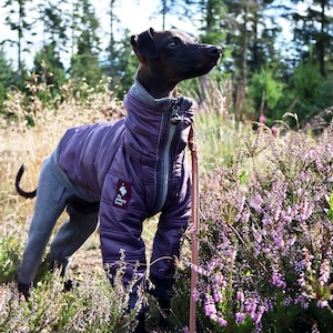 Puffa Jacket and Under Suit