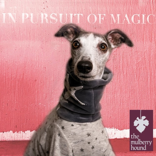 Collar Martingale Maians De Brott Para Galgos, Podencos, Whippet Y