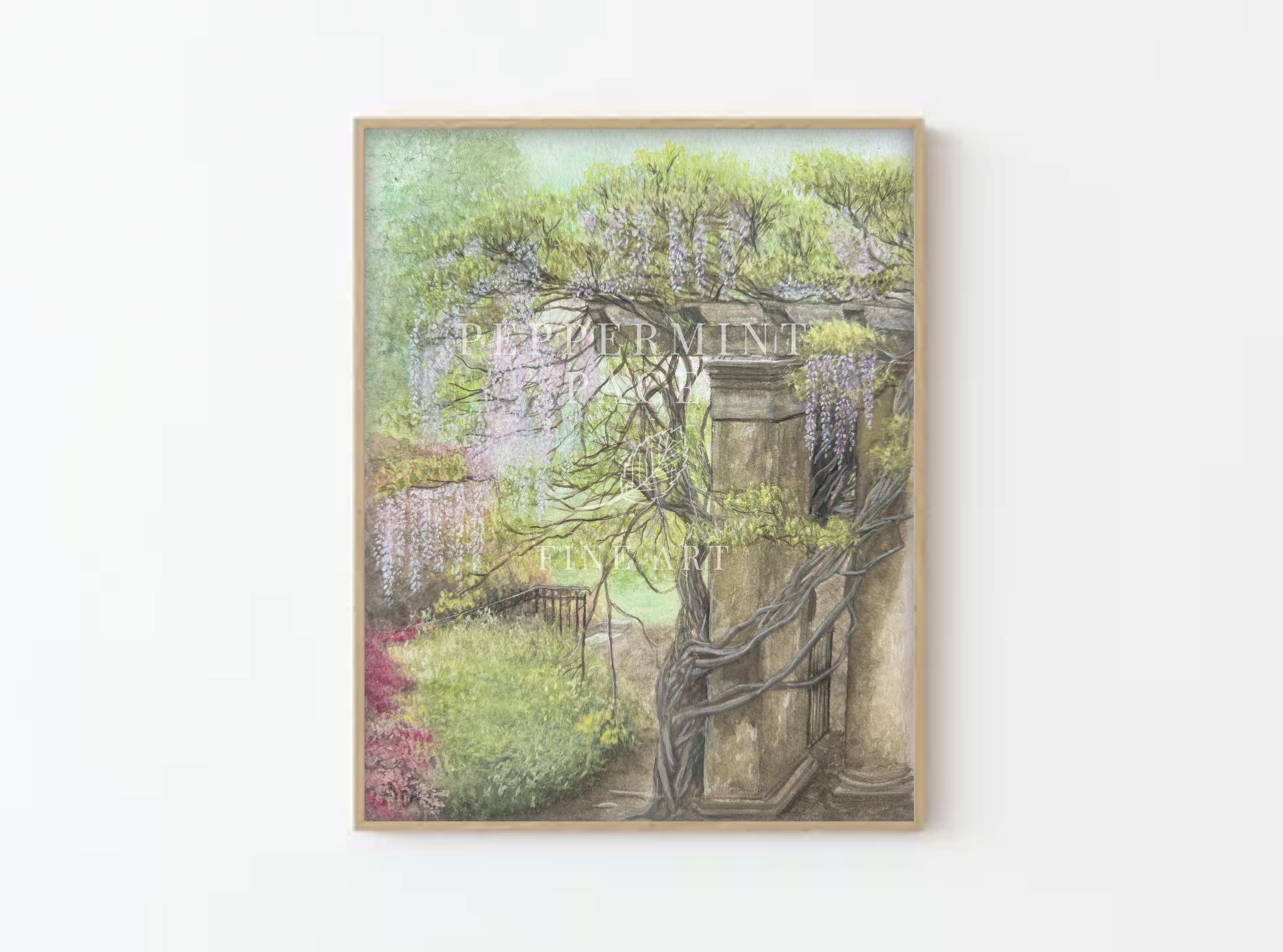 Wisteria in the Asheville Gardens at Biltmore Hand Painted Watercolor, Unframed Print & Poster, North Carolina Art, spring watercolor