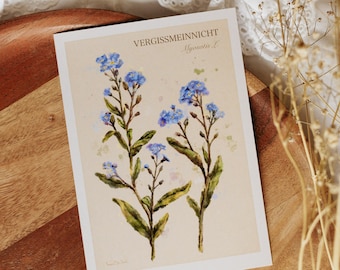 A6 // forget-me-not, Myosotis L. flower - botanic study drawing, painting | postcard, small print, card, art print