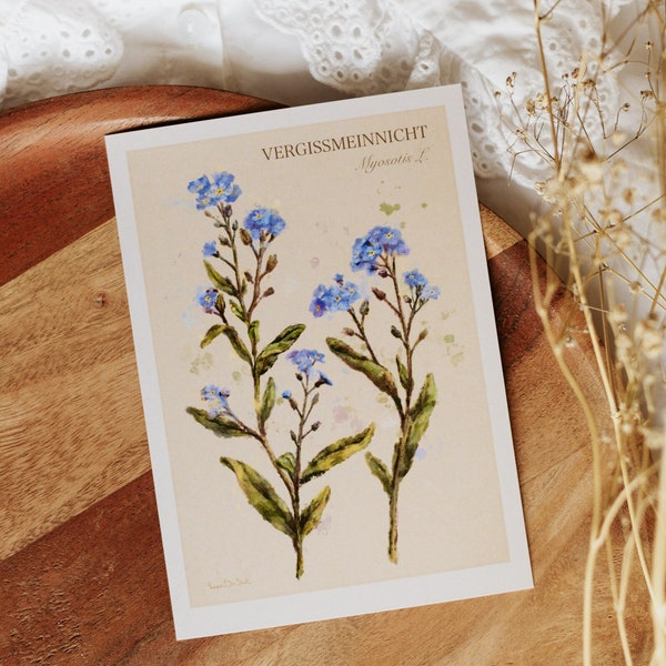 A6 // forget-me-not, Myosotis L. flower - botanic study drawing, painting | postcard, small print, card, art print