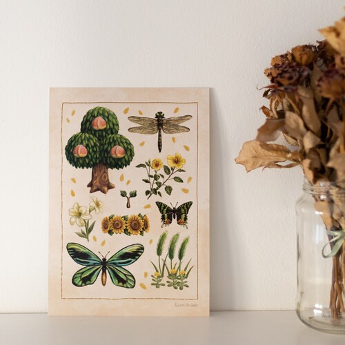 A5 // Summer of New Horizons | illustration, drawing, art print, poster, nature study