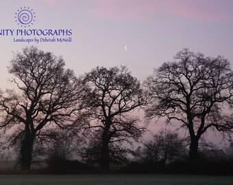 The Three Sisters; Misty Winter Sunrise, Suffolk, England