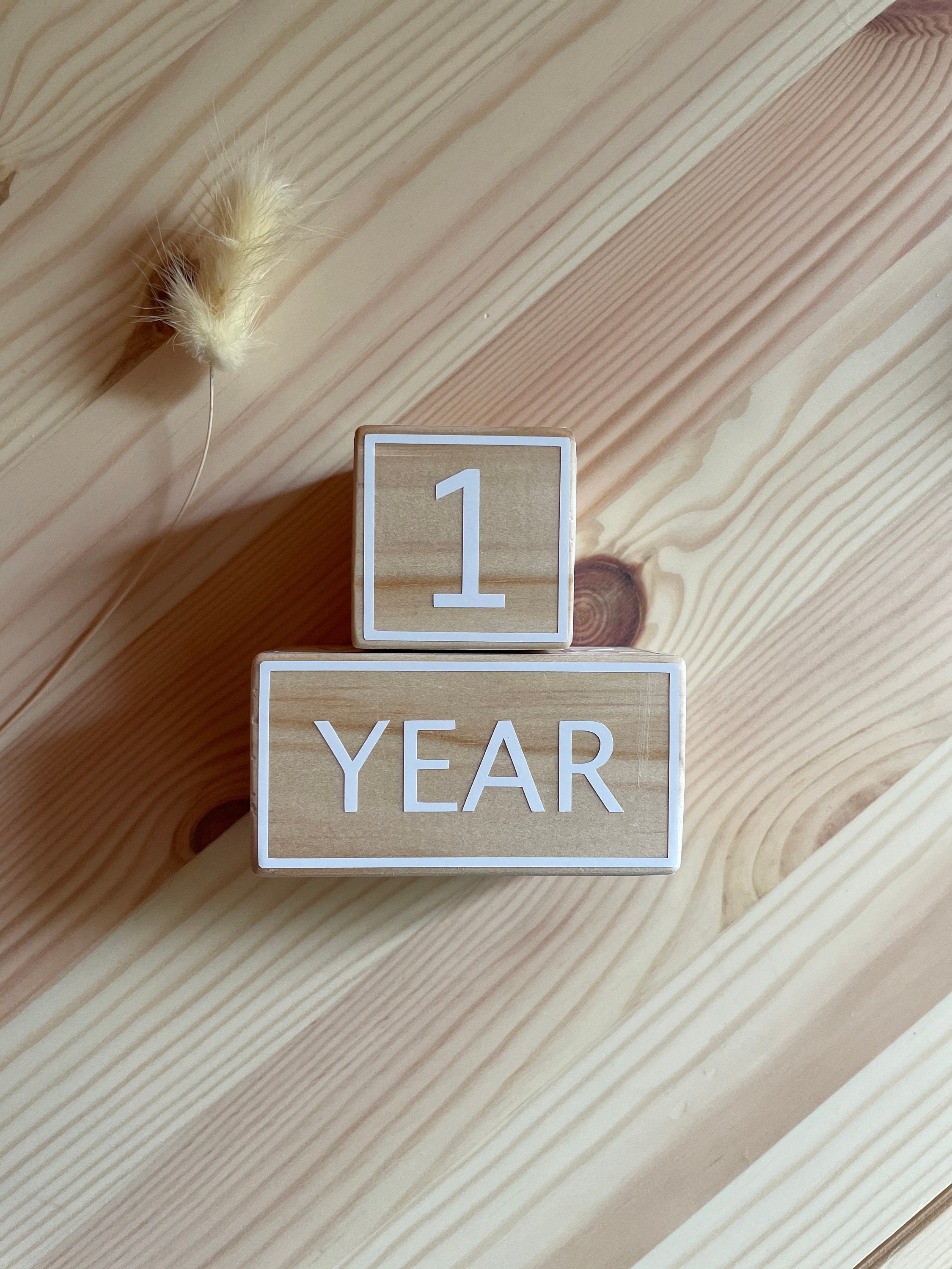 Wooden Milestone Blocks Etsy Australia