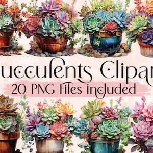 Aquarel vetplanten clipart, sappige illustraties set, kamerplant PNG collectie, Instant Download voor commercieel gebruik, woestijnplanten