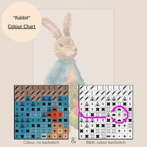 Rabbit With Carrots Cross Stitch Kit PDF Chart, Peter Bunny Nursery ...