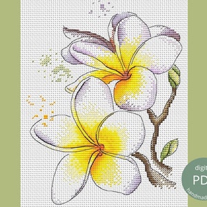 Gráfico de punto de cruz de flor de plumeria PDF / Patrón de bordado de estilo de arte lineal minimalista Frangipani, boceto de dibujo lineal Diseño de costura fácil