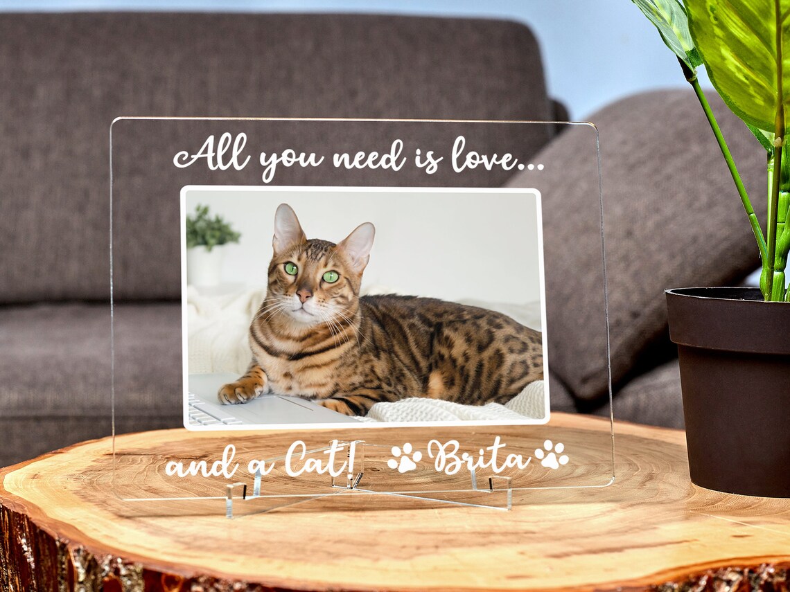 Cat Picture Frame Personalized Cat Photo Frame All You Need Etsy