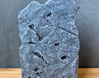 Rock Foam Diorama Wall