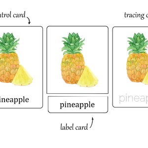 Fruits Watercolor Flash Cards. Montessori Three Part Cards ...
